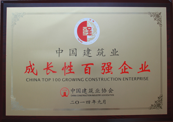 2013年度中国建筑业成长性百强企业（牌匾）
