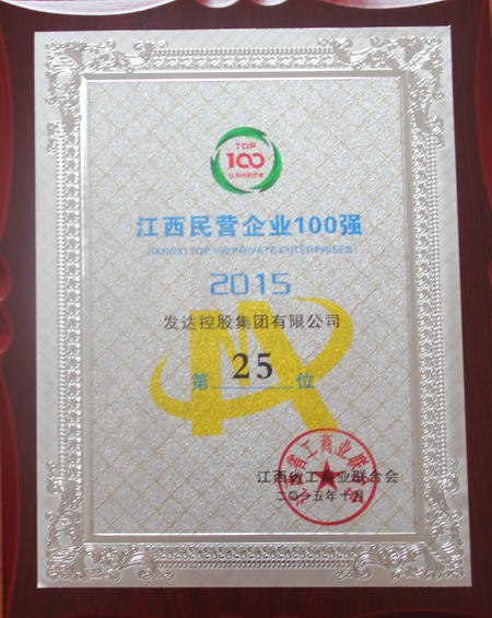 2015江西民营企业100强
